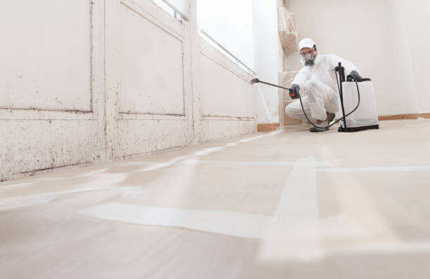 24/7 Emergency Attic Mold Removal experts in Riverton, IL